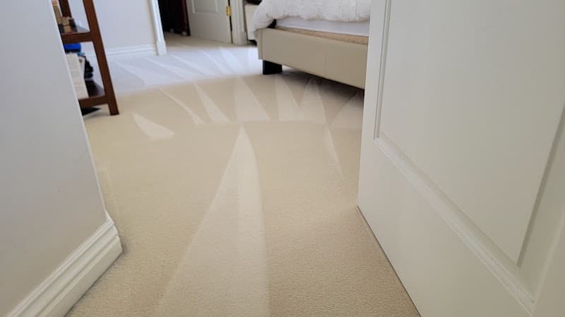 CA Carpet Cleaning Organic - Carpet & Upholstery in Van Nuys