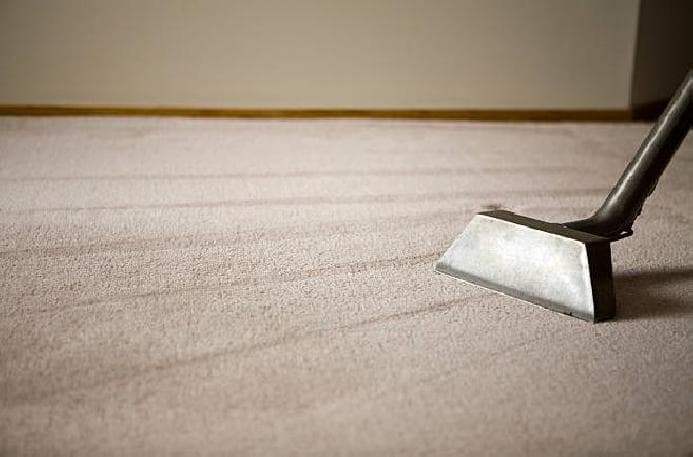 D & X Rug & Upholstery Cleaning - Carpet & Upholstery in Gardena