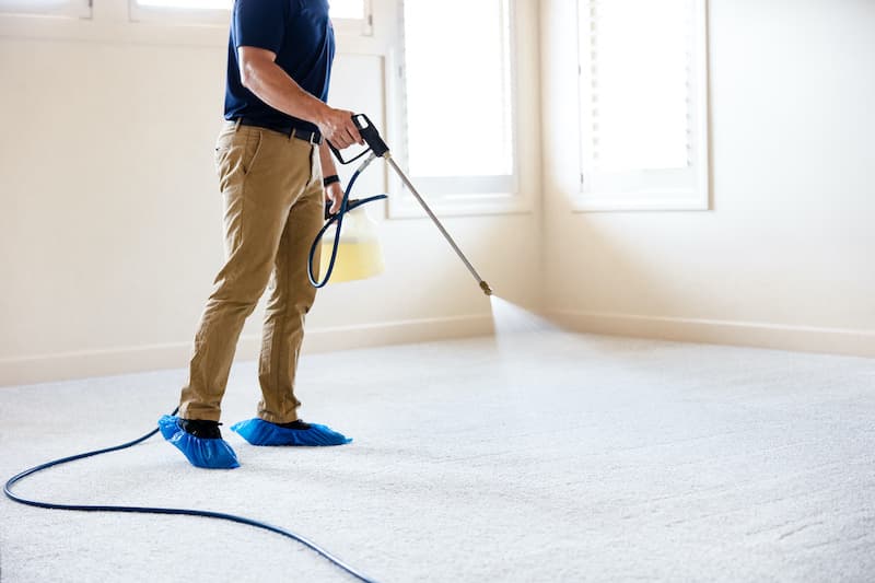 Earth First Carpet Cleaning Service - Carpet & Upholstery in Playa Del Rey