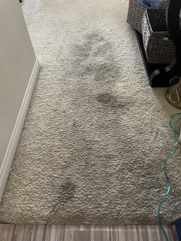 Eco-Dry Carpet & Upholstery Care - Carpet & Upholstery in Calabasas