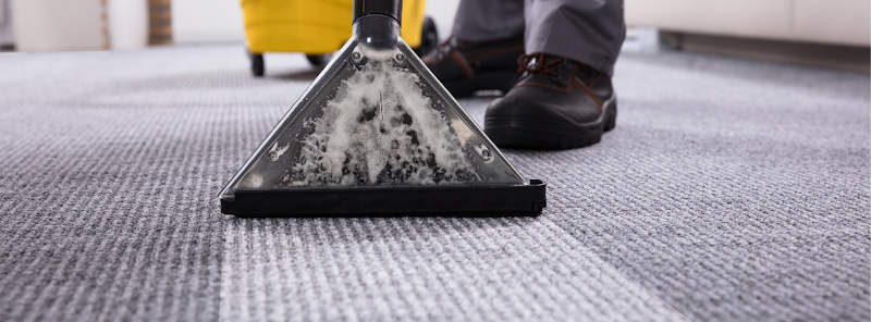 Frank's Carpet Care - Carpet & Upholstery in Culver City