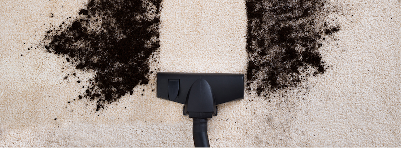 New Day Carpet Cleaners - Carpet & Upholstery in Carson