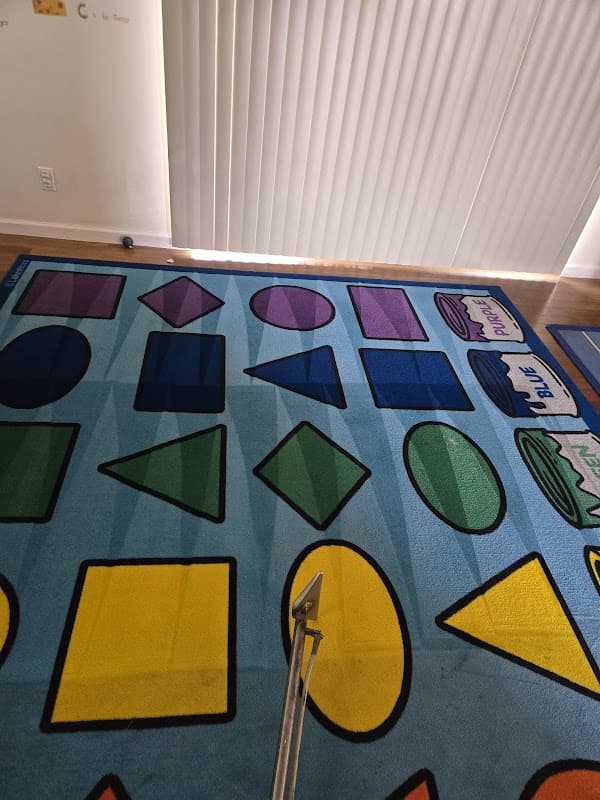 Organic carpet & Upholstery Cleaning - Carpet & Upholstery in Van Nuys