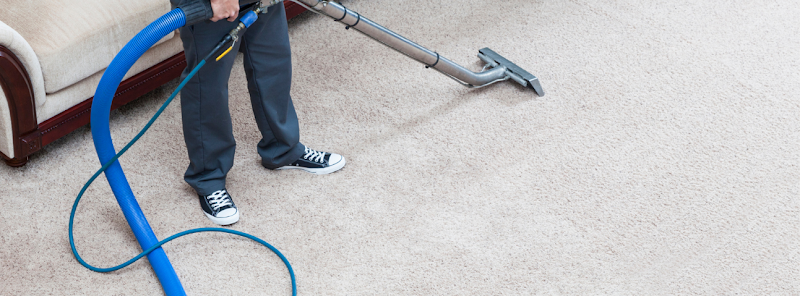 Shane & Sons Carpet Cleaning - Carpet & Upholstery in Gardena
