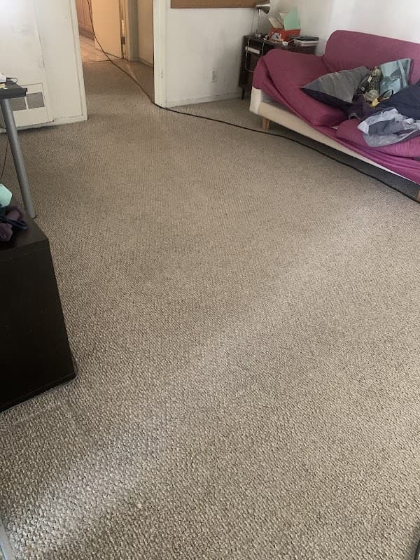 Spotless Rug Cleaners - House Cleaning in Los Angeles