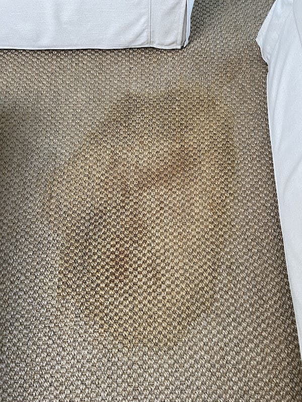 Supreme Carpet Cleaning - Carpet & Upholstery in Long Beach