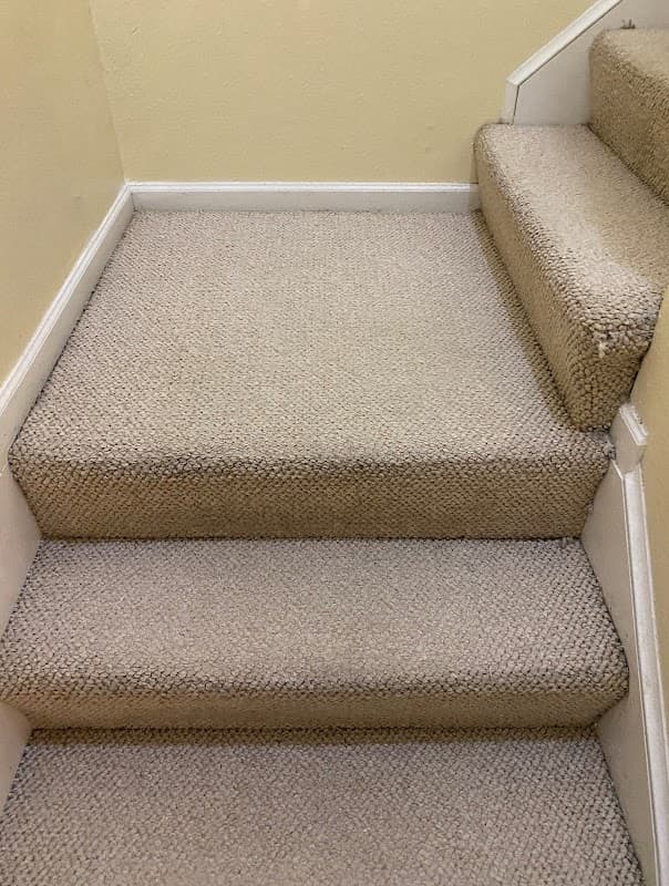 The Carpet Gurus - Carpet & Upholstery in Santa Monica