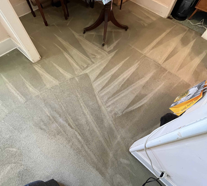 The DRY Carpet Cleaner - Carpet & Upholstery in Pasadena