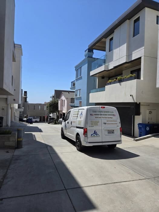 The True Maids LLC - House Cleaning in Los Angeles