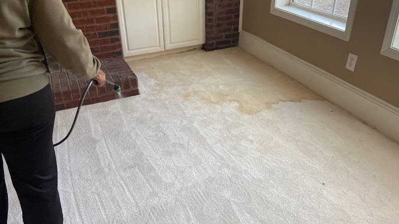 Absolute Carpet Cleaning West Hollywood - Carpet & Upholstery in Los Angeles